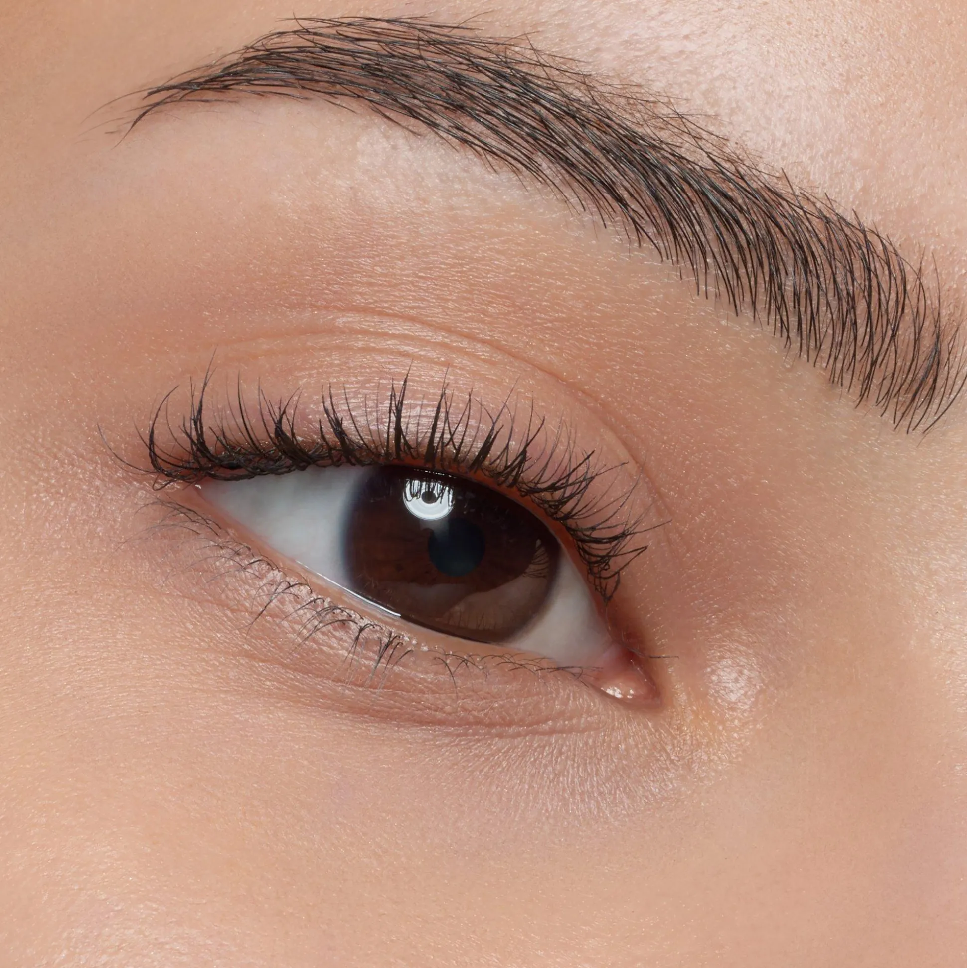 essence easy & WOW brow set light Cheap